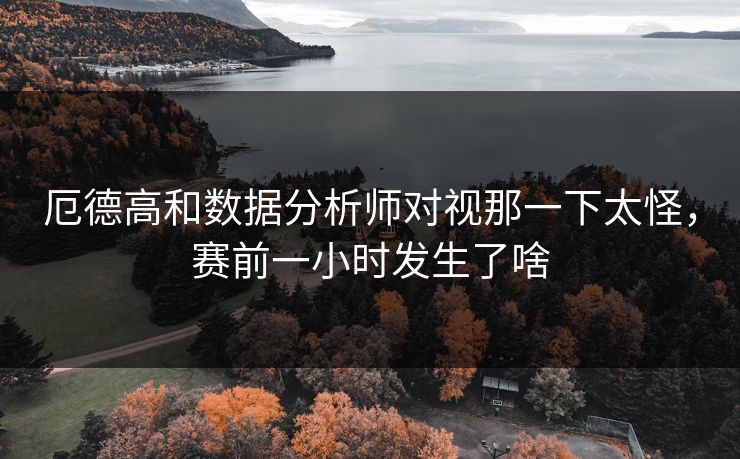厄德高和数据分析师对视那一下太怪，赛前一小时发生了啥