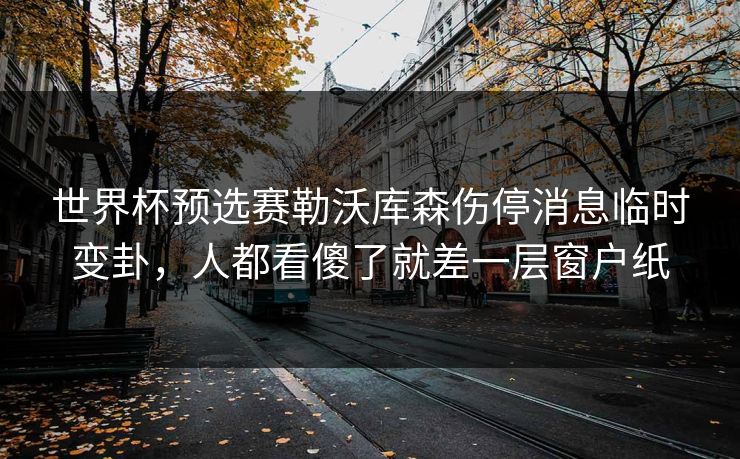 世界杯预选赛勒沃库森伤停消息临时变卦，人都看傻了就差一层窗户纸