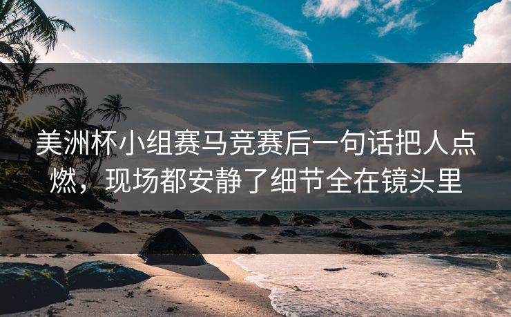 美洲杯小组赛马竞赛后一句话把人点燃，现场都安静了细节全在镜头里