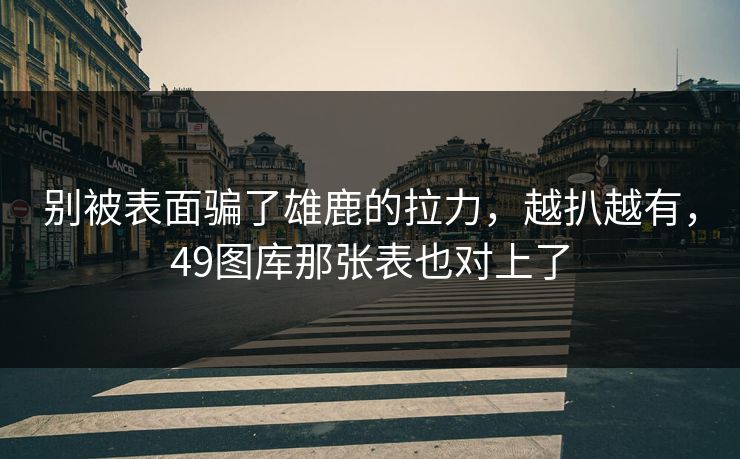 别被表面骗了雄鹿的拉力，越扒越有，49图库那张表也对上了